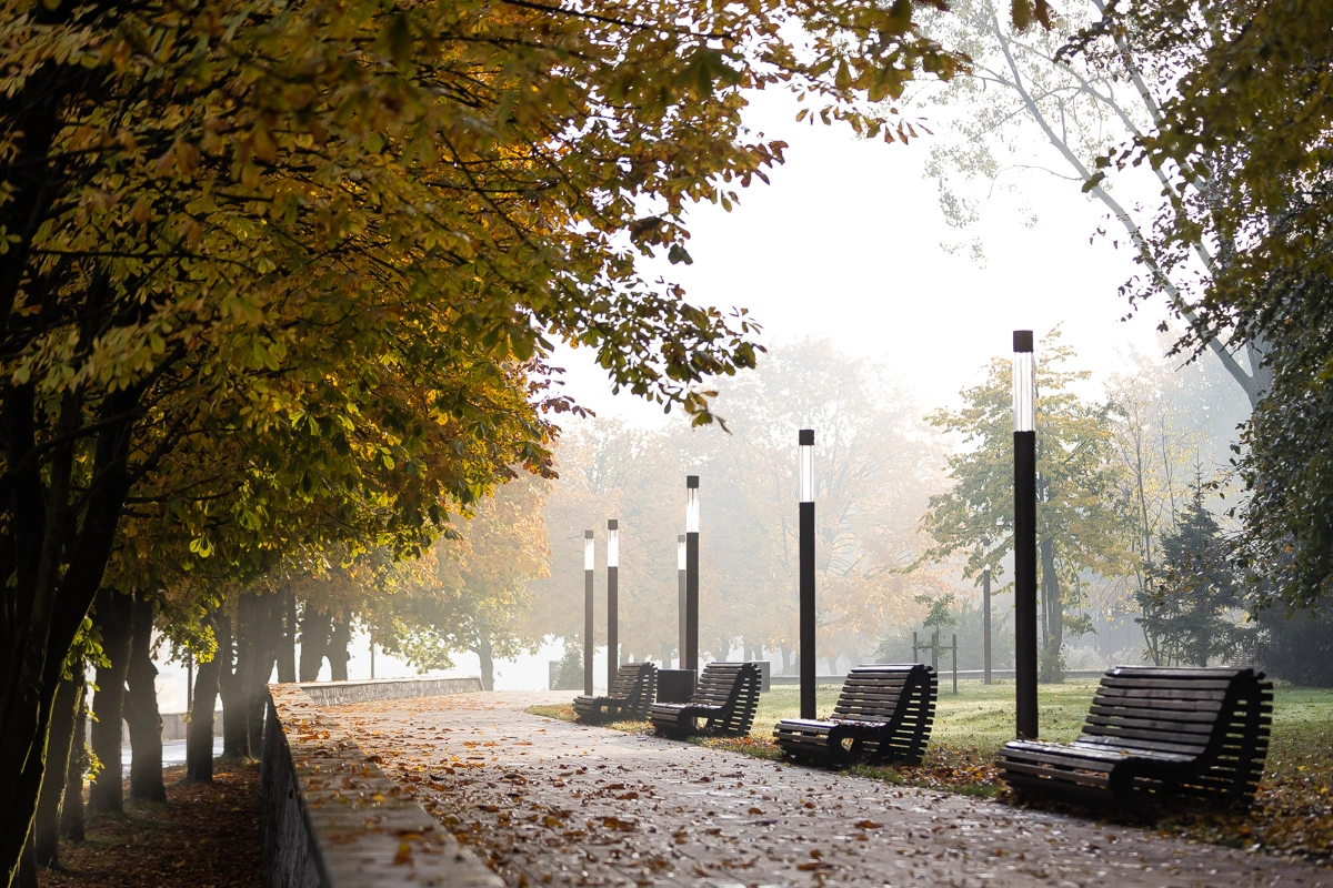 Александр Подгорчук