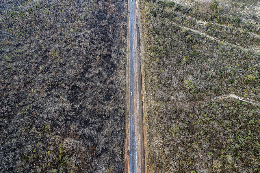По сравнению с прошлым годом количество лесных пожаров выросло на 83%: общее число возгораний с начала этого года превысило 70 тыс.