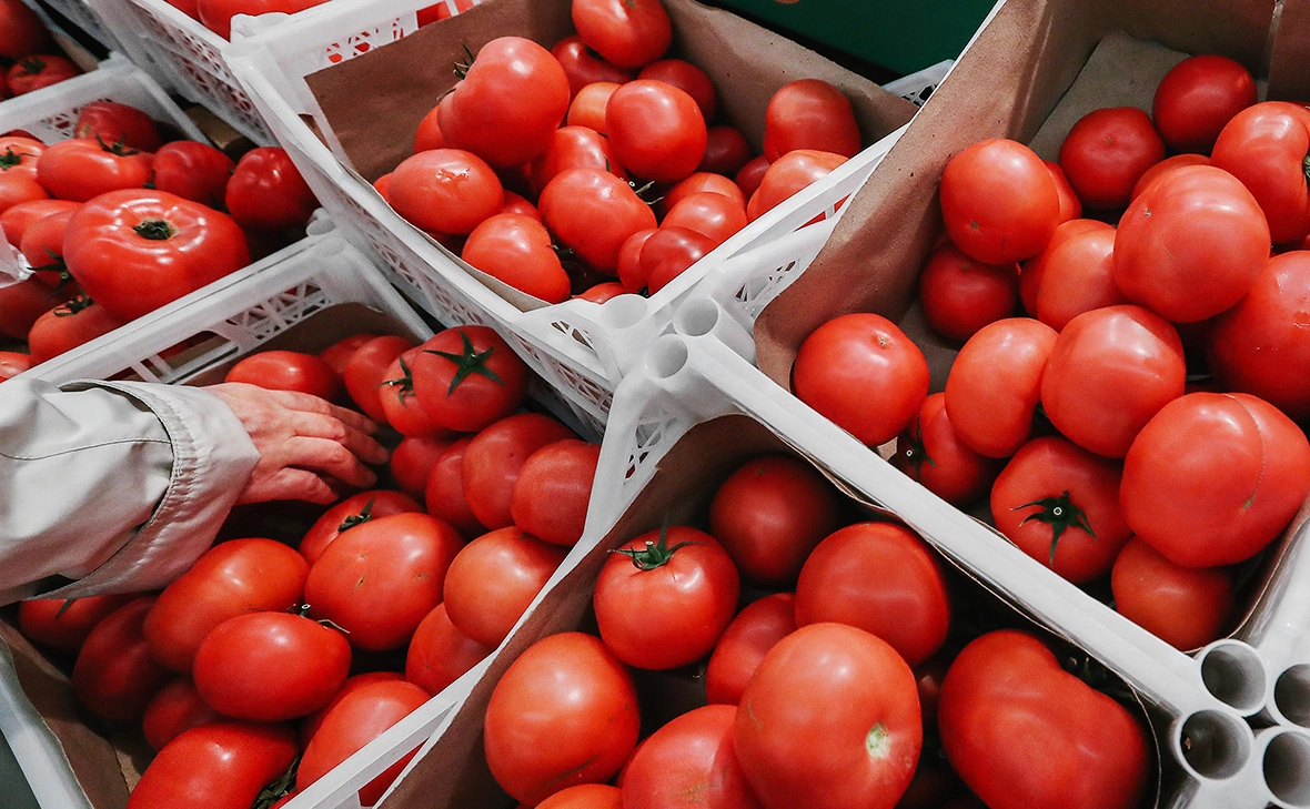 Андрей Любимов / РБК