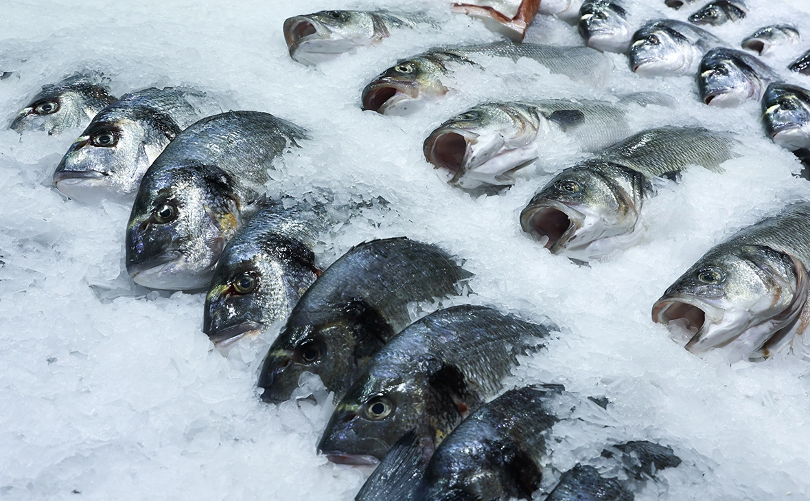 Сергей Петров / NEWS.ru / Global Look Press