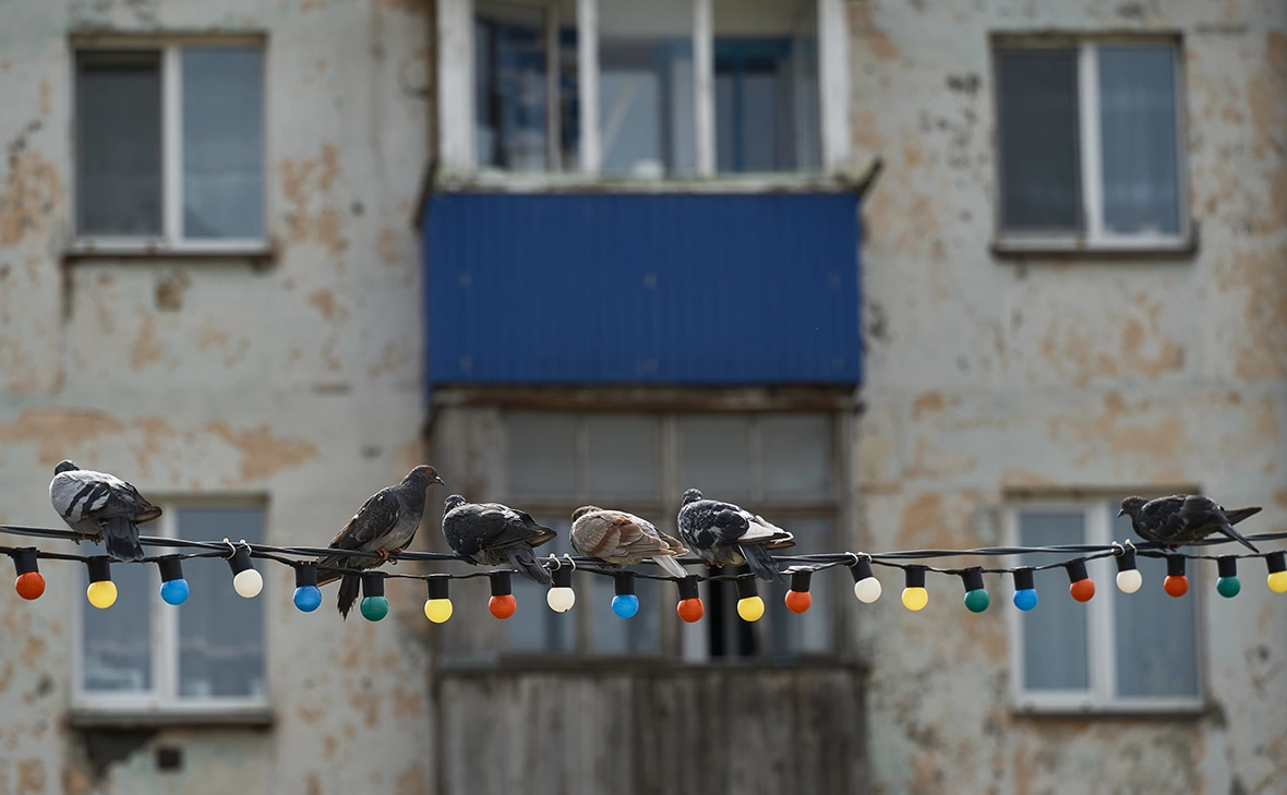 Алексей Даничев / РИА Новости