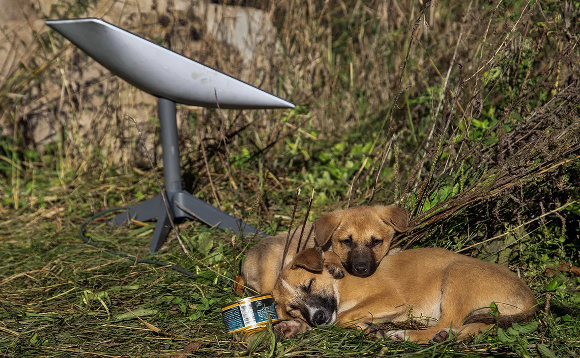 Oleksandr Ratushniak / Reuters