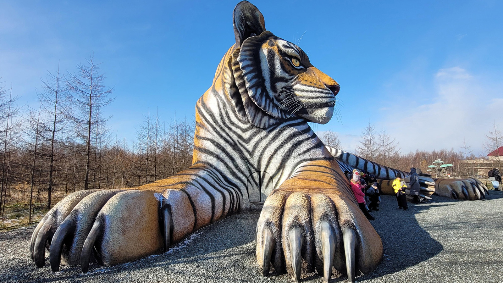 <p>Самая большая статуя тигра в России расположена&nbsp;на ферме на острове Сахалин</p>