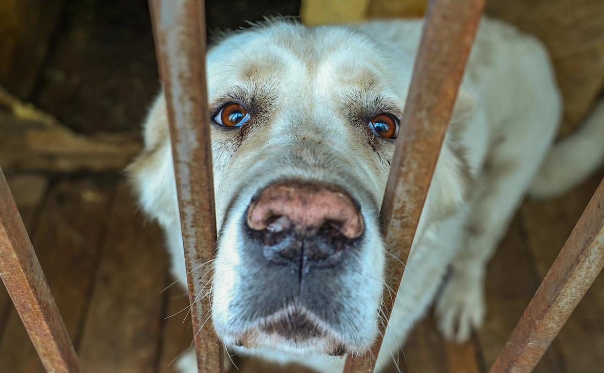 Сергей Петров / NEWS.ru / Global Look Press