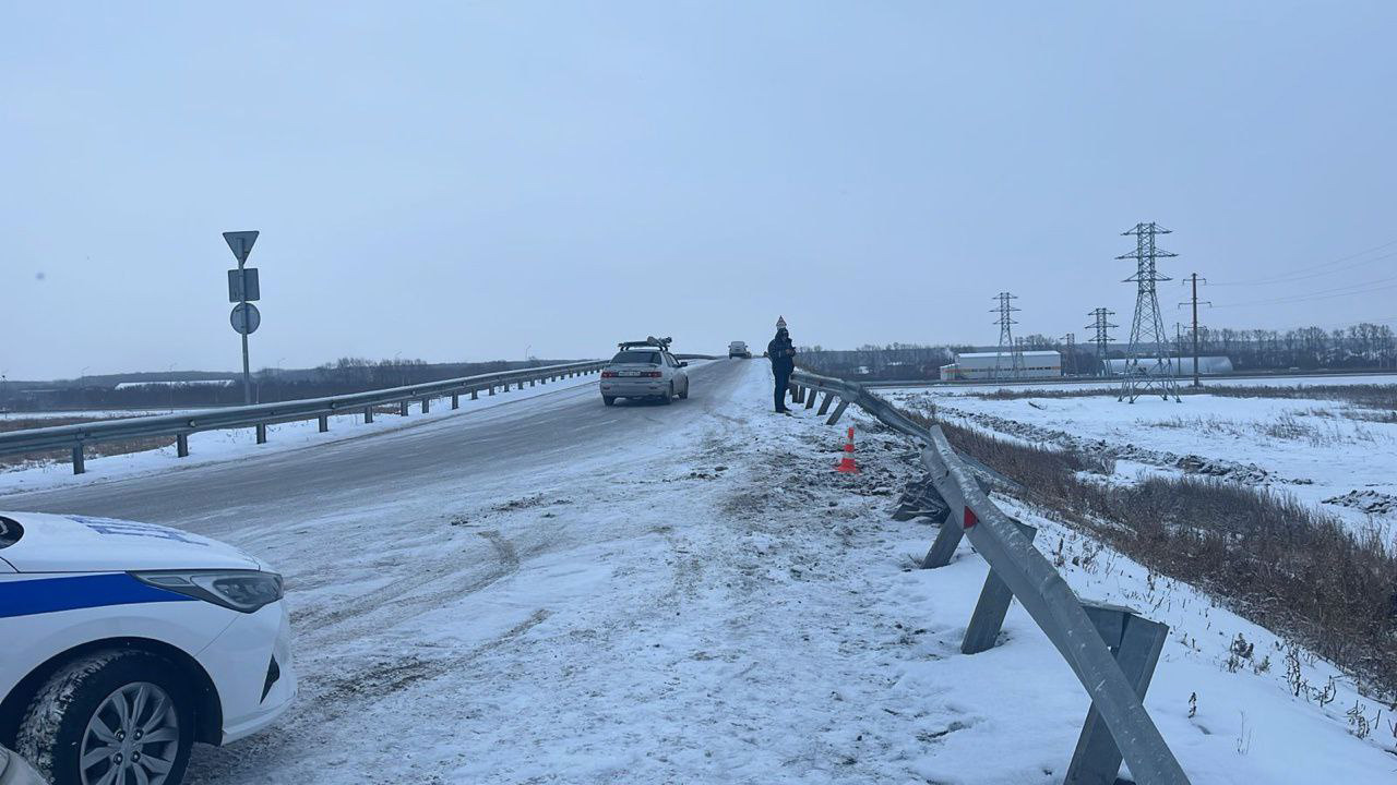 Фото: Госавтоинспекция Новосибирской области