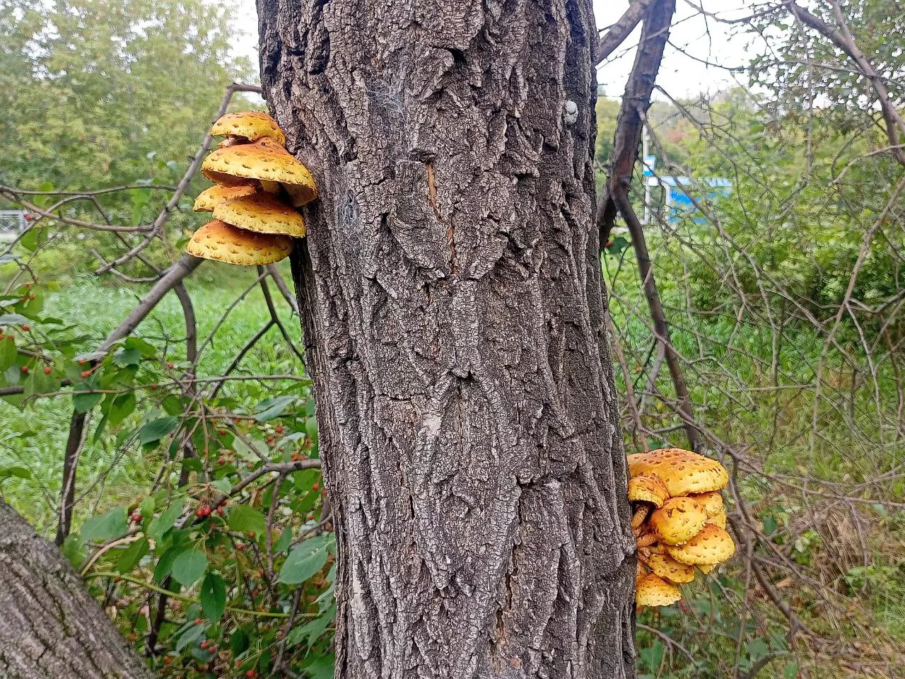 Алексей Коваленок / РБК Новосибирск