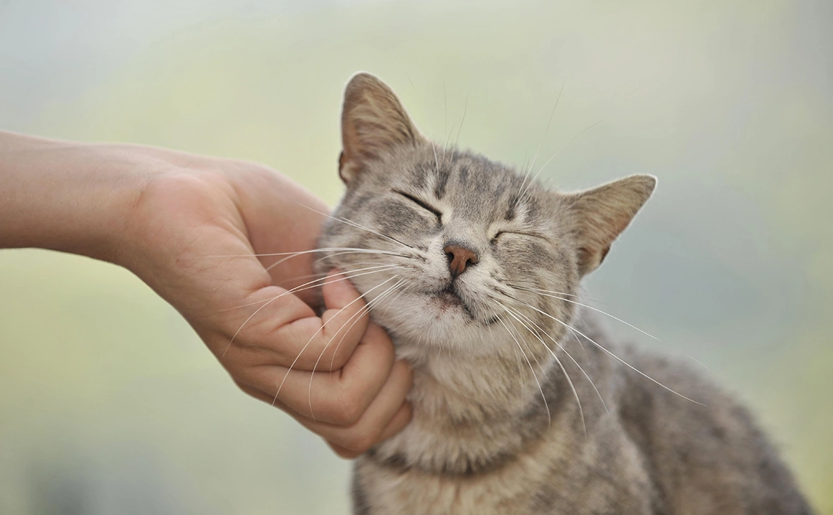 Michael Weber / imageBROKER.com / Global Look Press