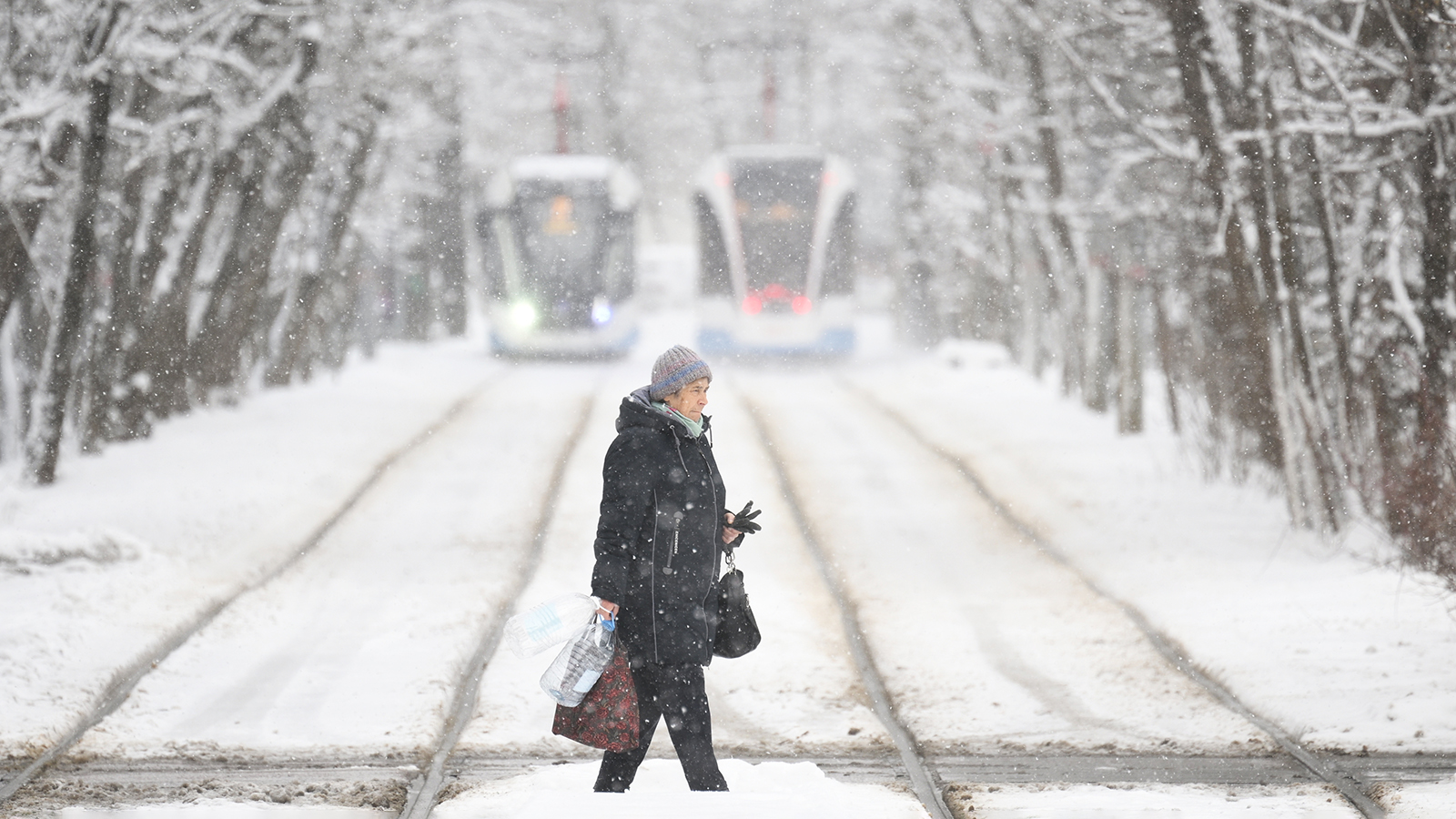 Синоптик Тишковец рассказал, когда в Москве сформируется снежный покров