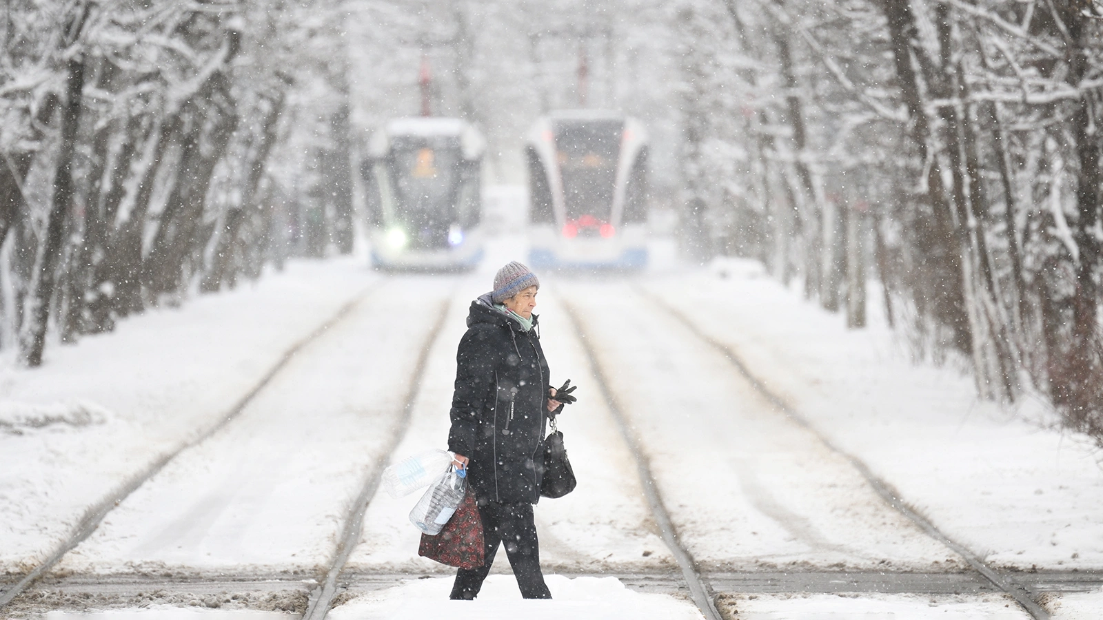 Синоптик Тишковец рассказал, когда в Москве сформируется снежный покров