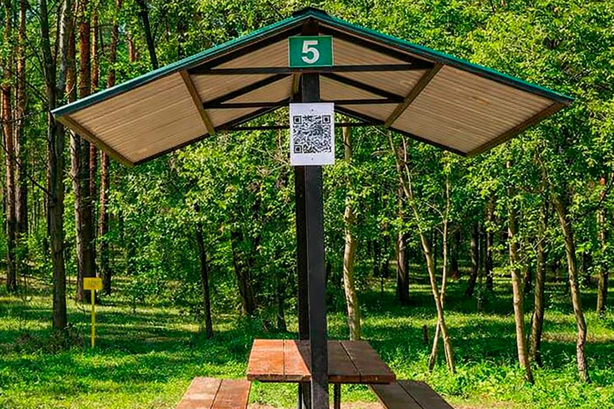 Место для шашлыка в парке «Кузьминки — Люблино»