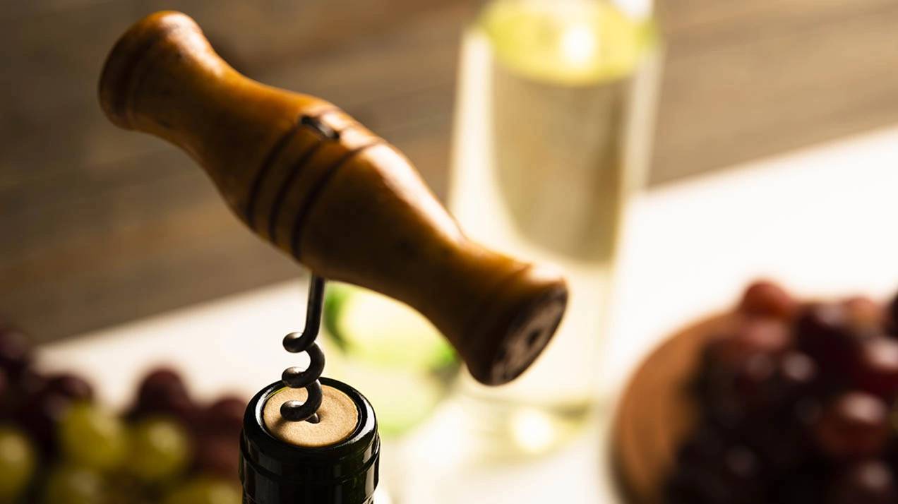 Все о том, как получать удовольствие от вина