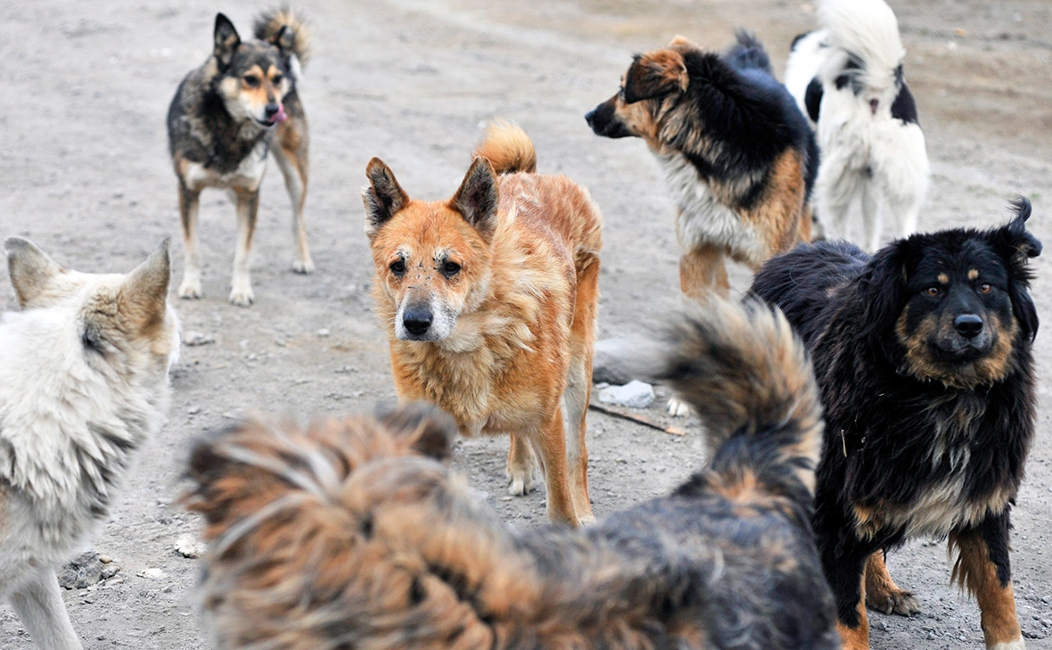 Лев Федосеев / ТАСС