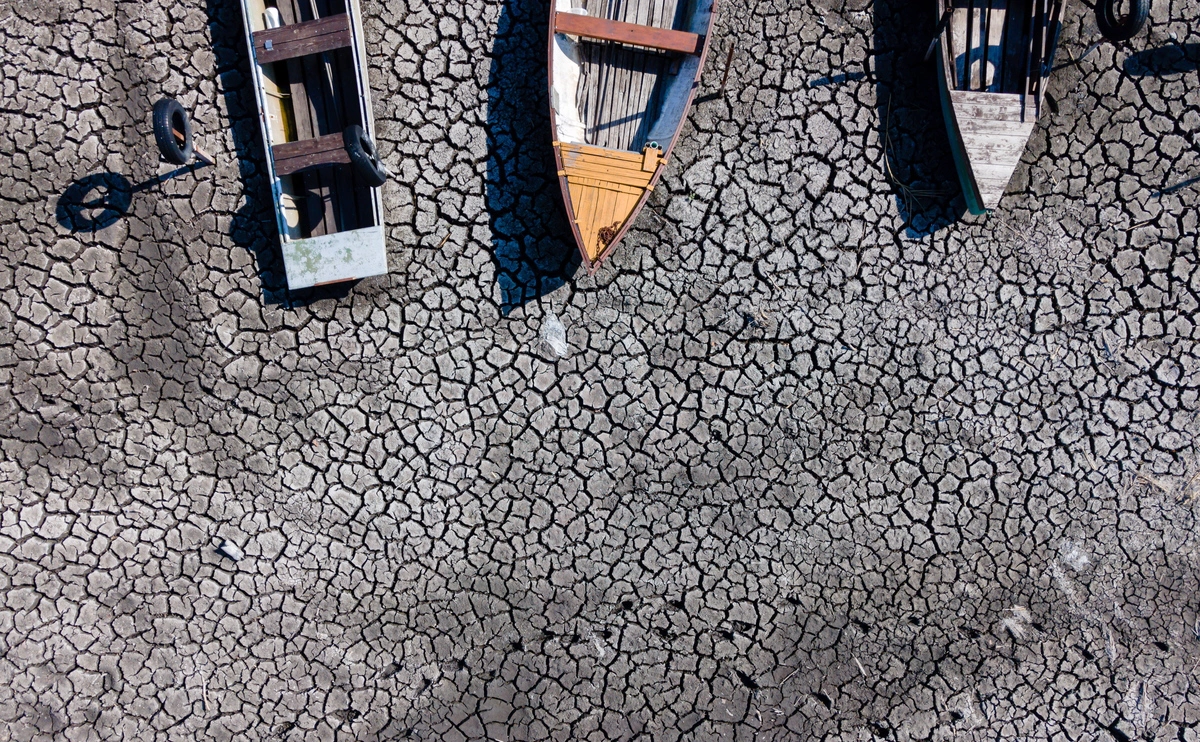 Tamas Vasvari / EPA / ТАСС