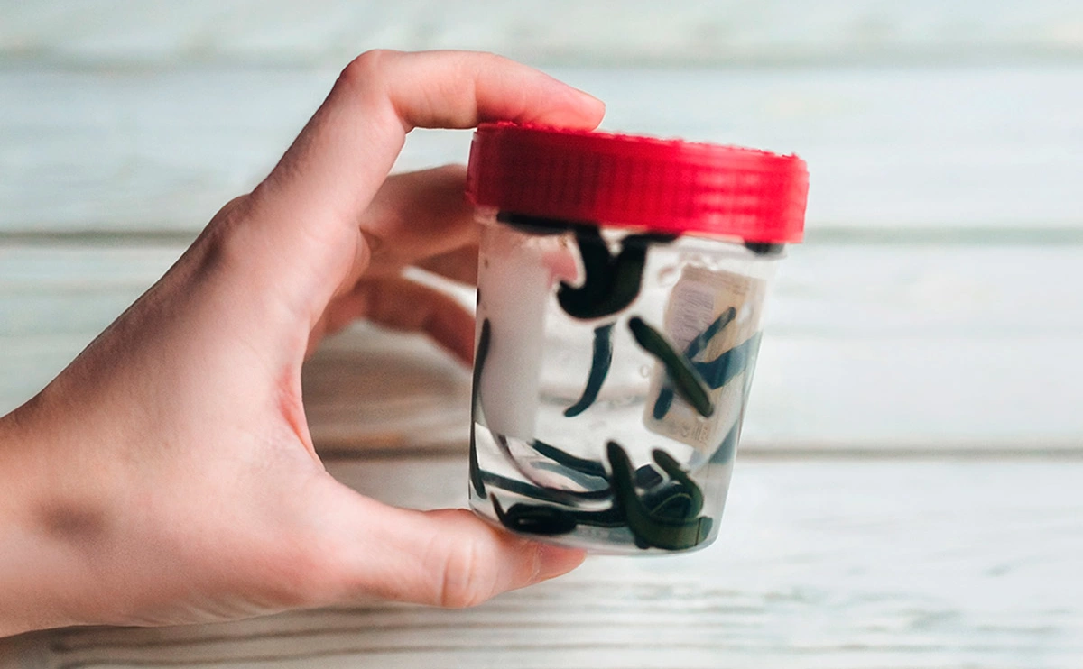 Shchus / Shutterstock