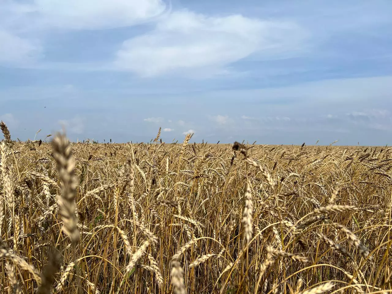 РБК Татарстан