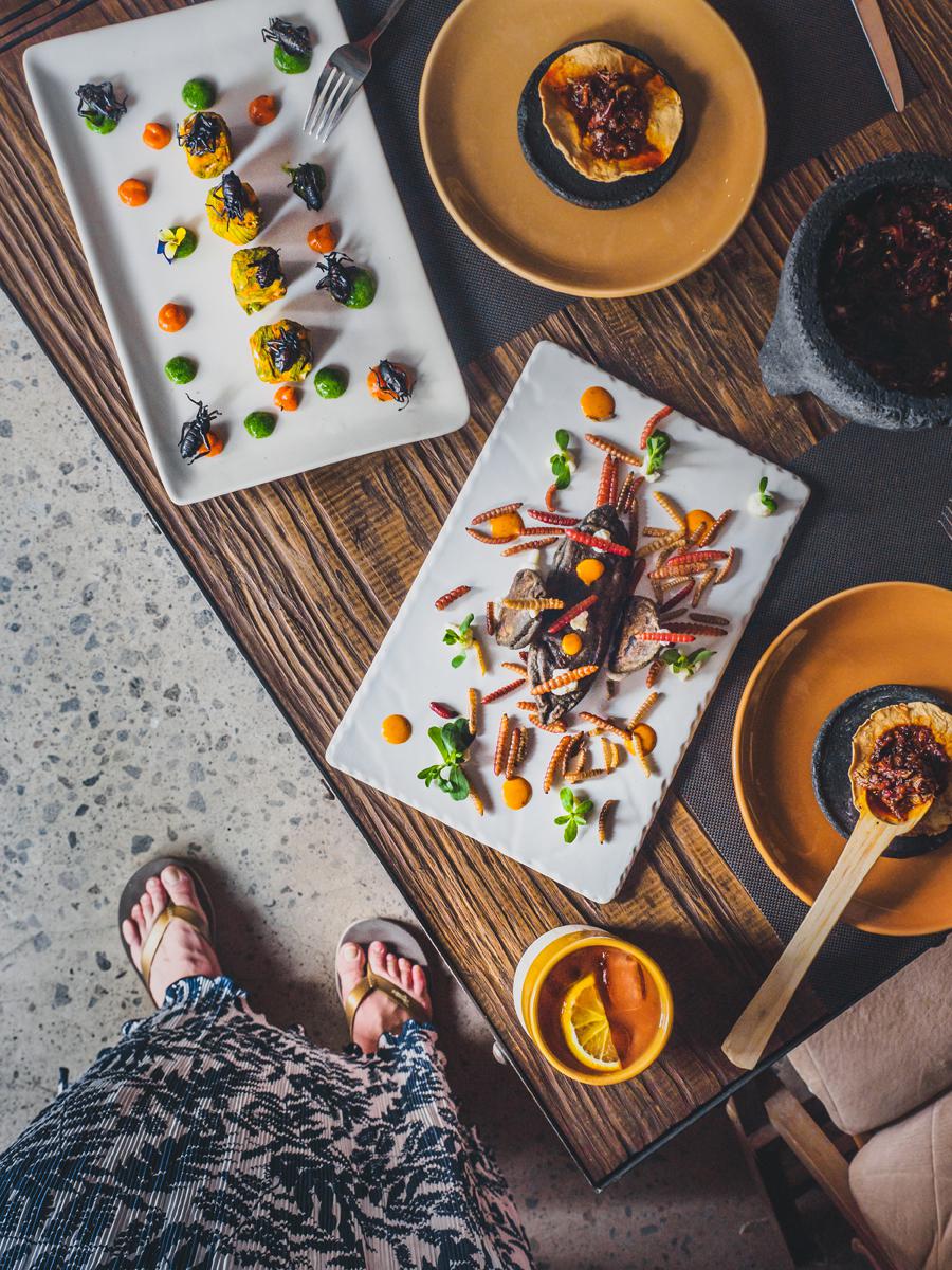 Мезоамериканская кухня в мексиканском ресторане в Мехико: красные мескальские черви и мягкий сыр в цветках цукини с жуками