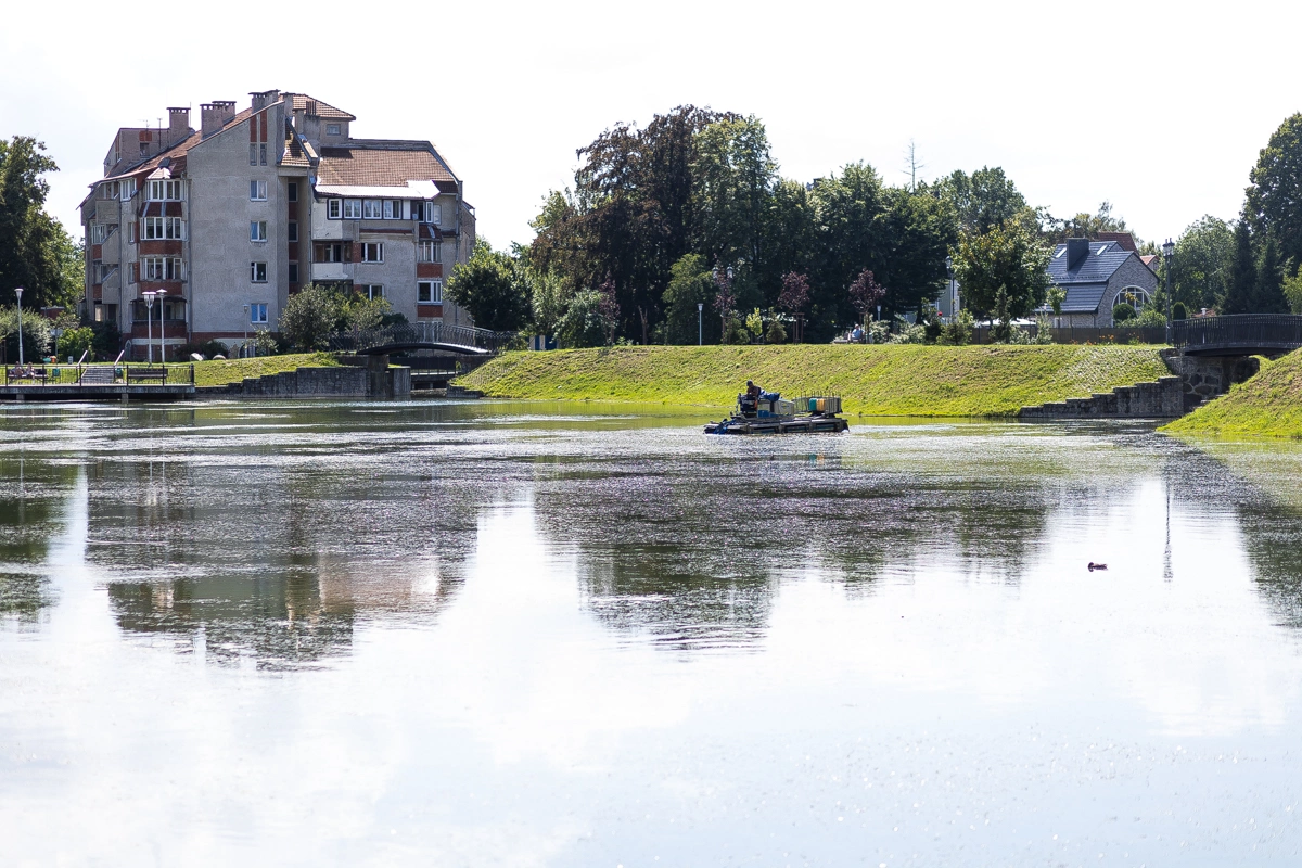 Александр Подгорчук