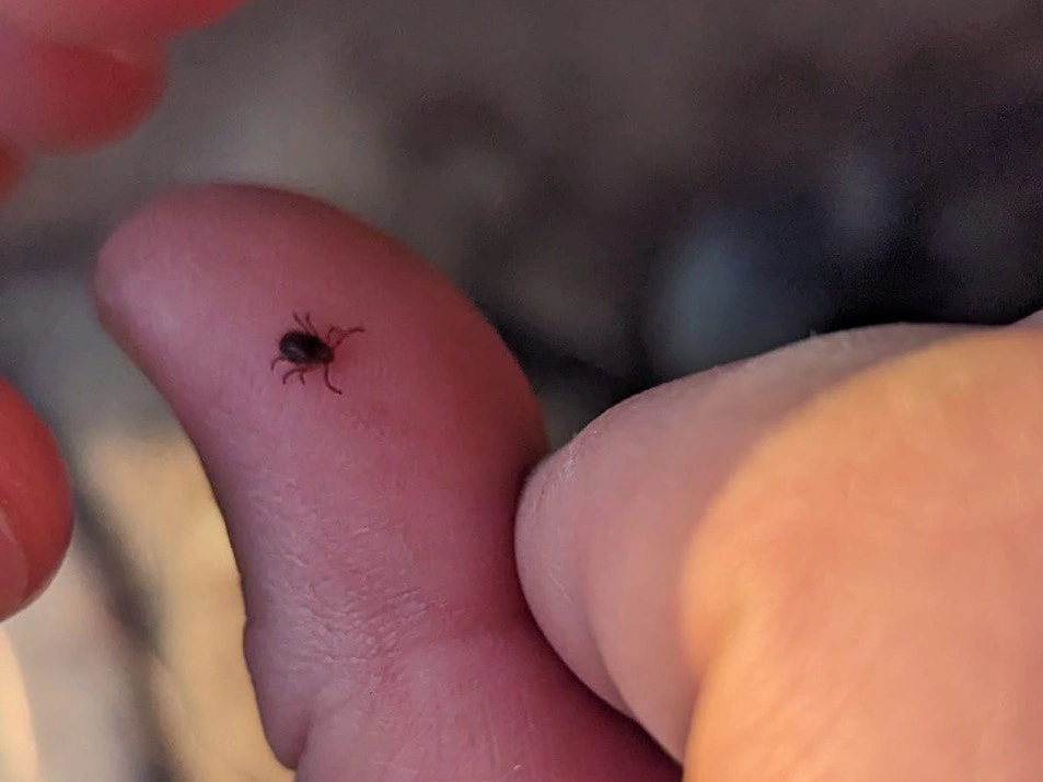 РБК Приморье