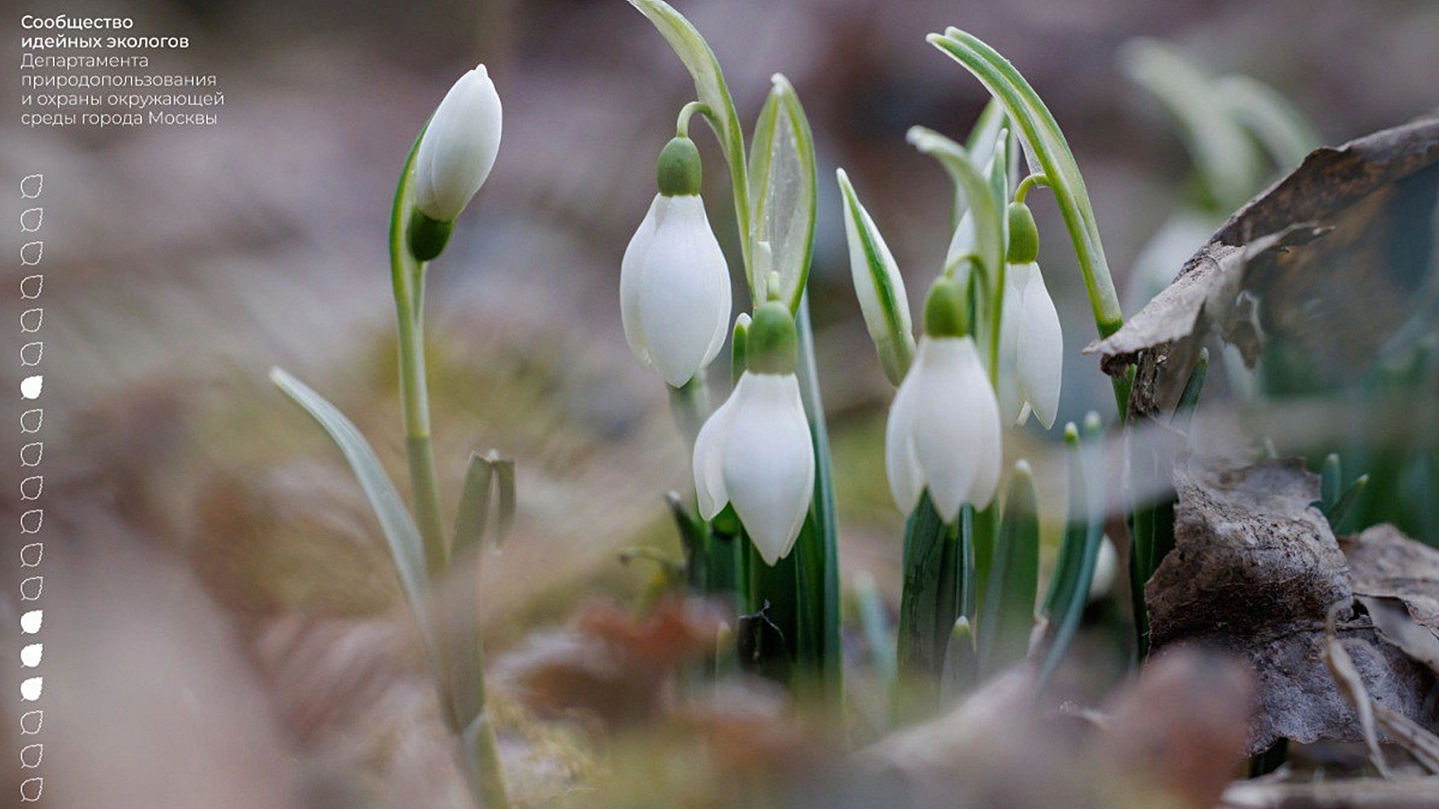 moscow_nature / Telegram