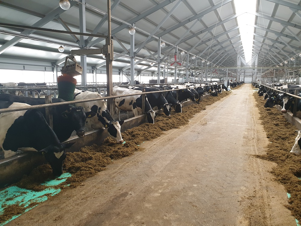 Самозанятый вологжанин отсудил у АО «Племзавод Родина» более 1 млн рублей