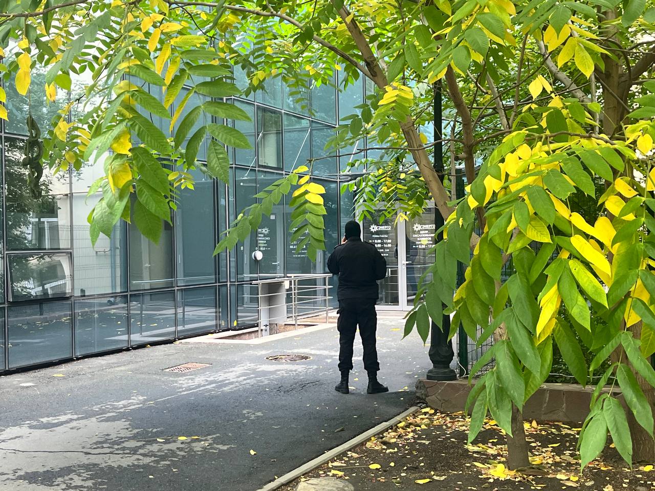 Фото: Мария Шараева, 66.RU