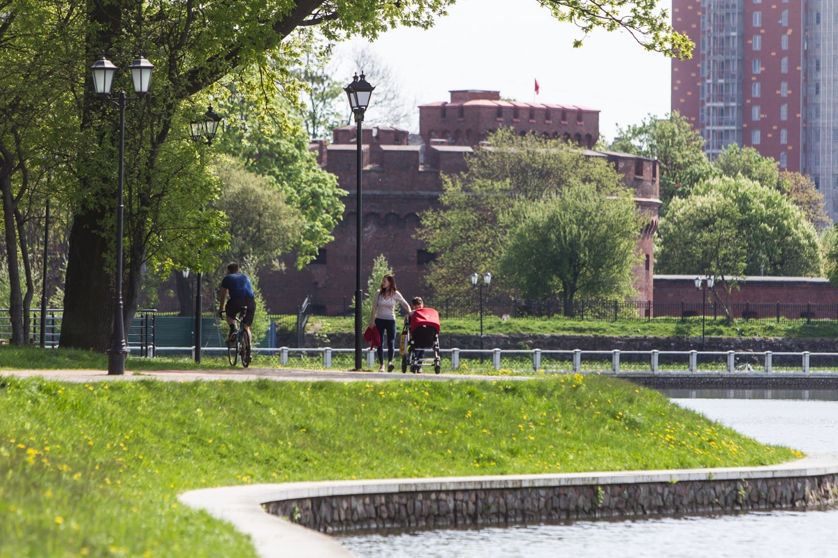 Александр Подгорчук