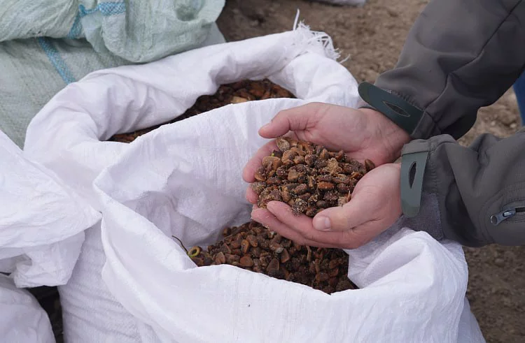 пресс-служба правительства Приморья