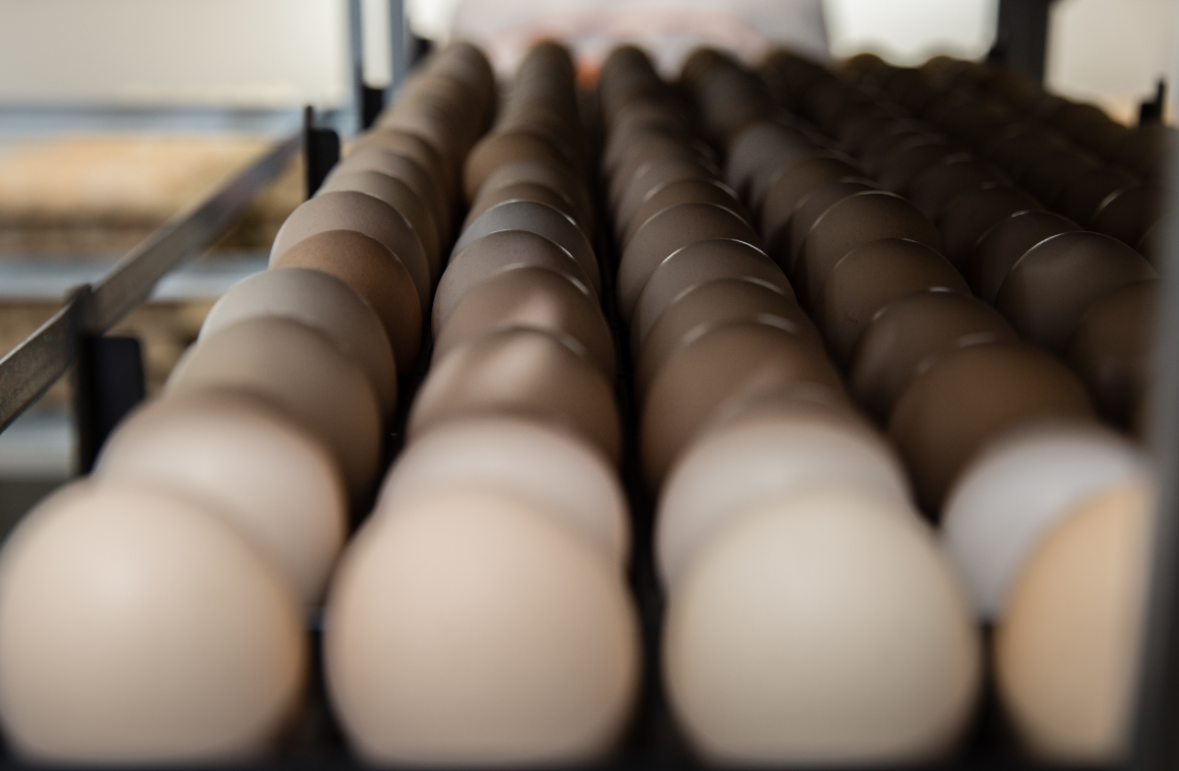 Александр Кулаковский / РИА URA.RU