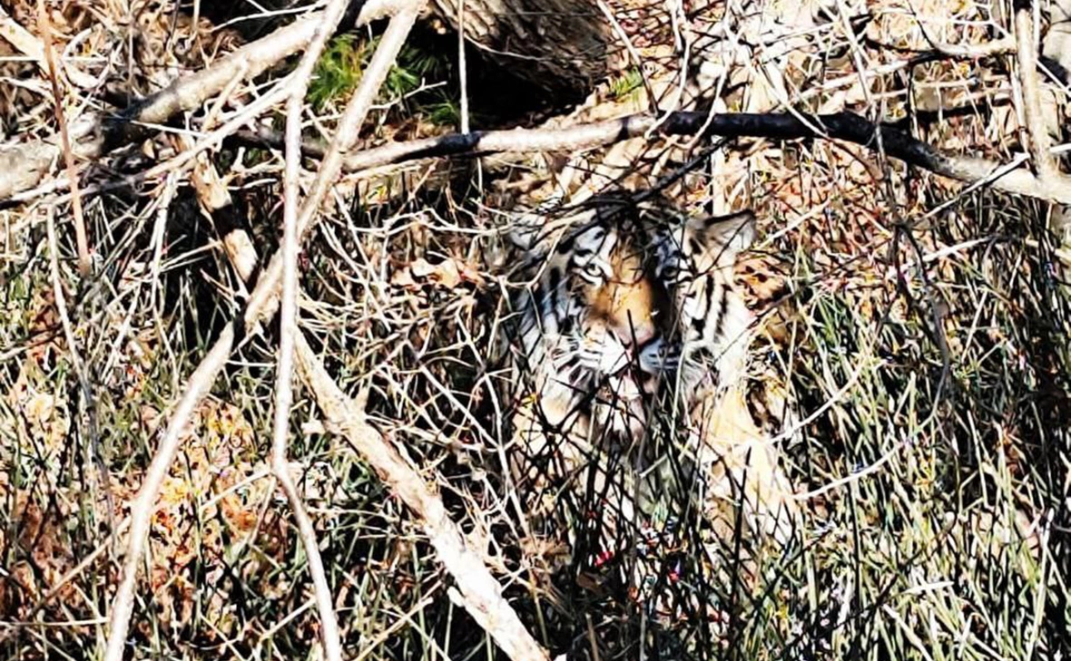 minles_pk / Telegram