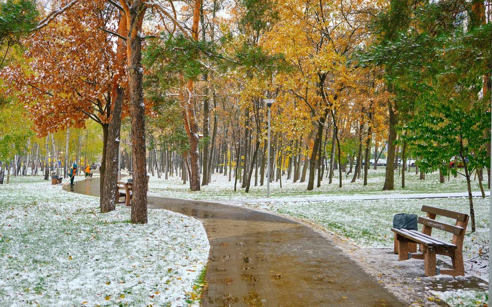 Фото: Shutterstock