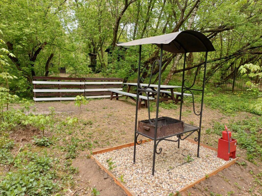 Место для шашлыка с мангалом в Бирюлевском дендропарке