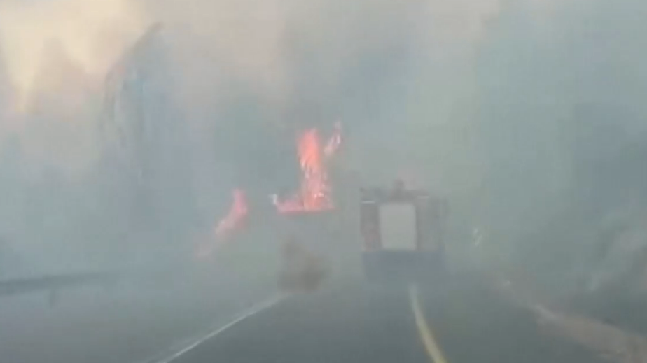 Кадры пожаров на севере Израиля после удара «Хезболлы»