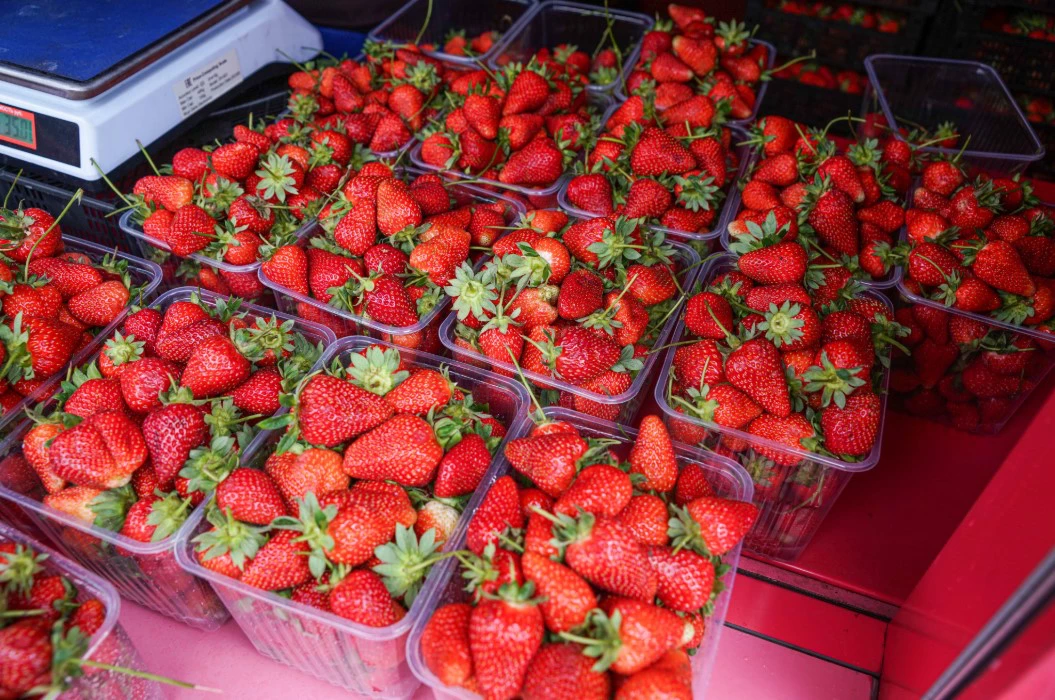 Немышев Вячеслав / РИА URA.RU