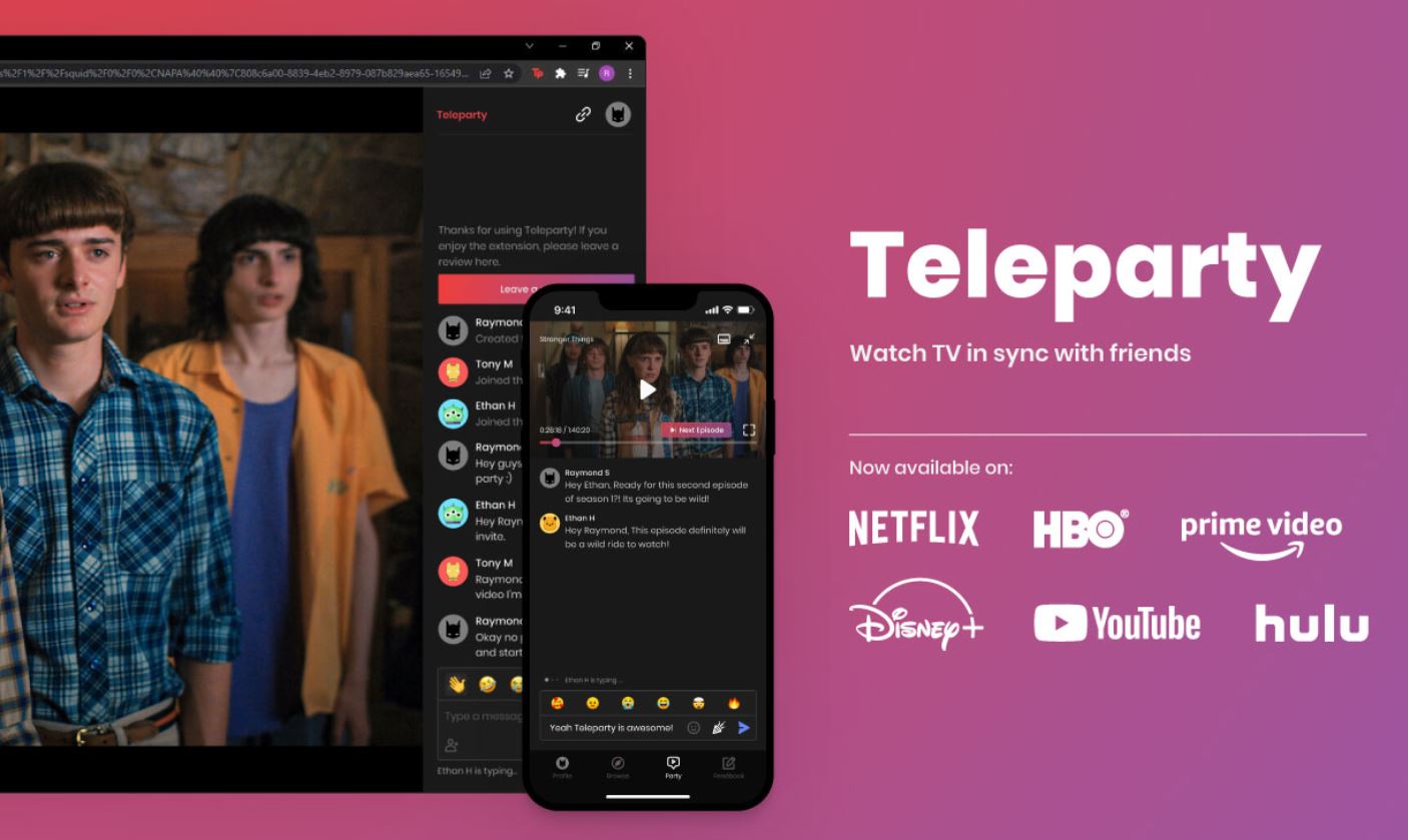 Netflix Teleparty