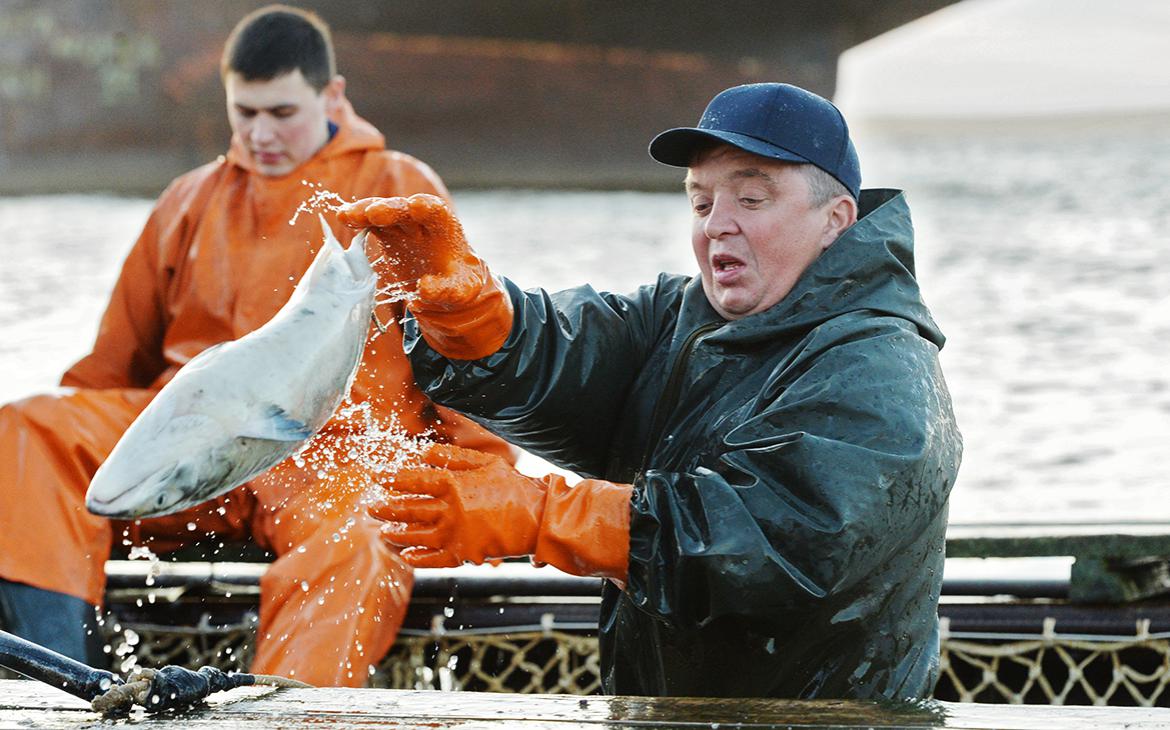 Власти подготовят реформу рынка лосося. Что это значит