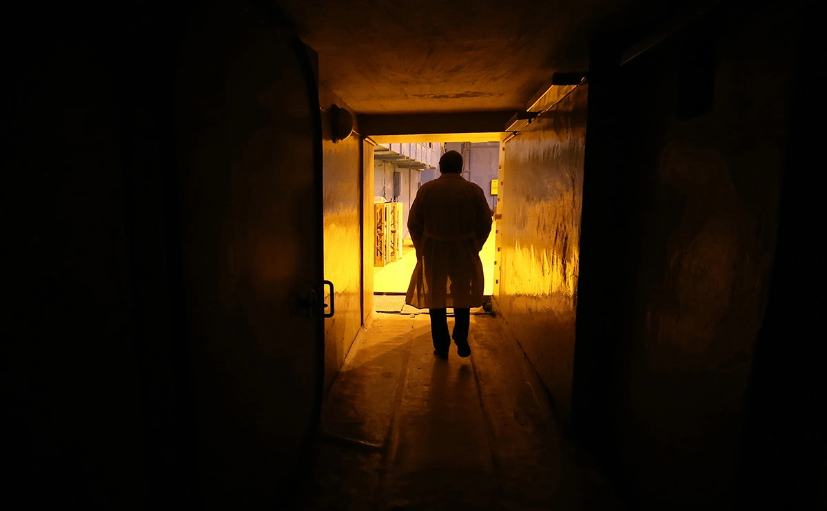 Петр Ковалев / ТАСС