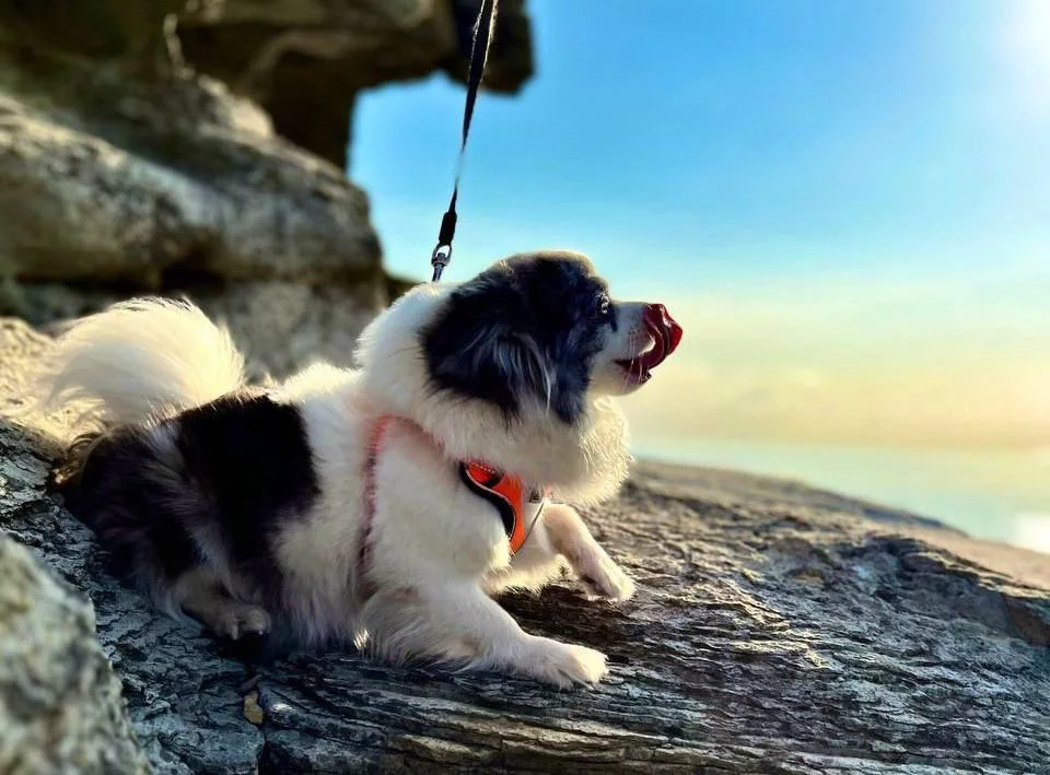 РБК Приморье