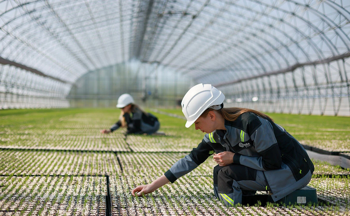 Владимир Смирнов / ТАСС