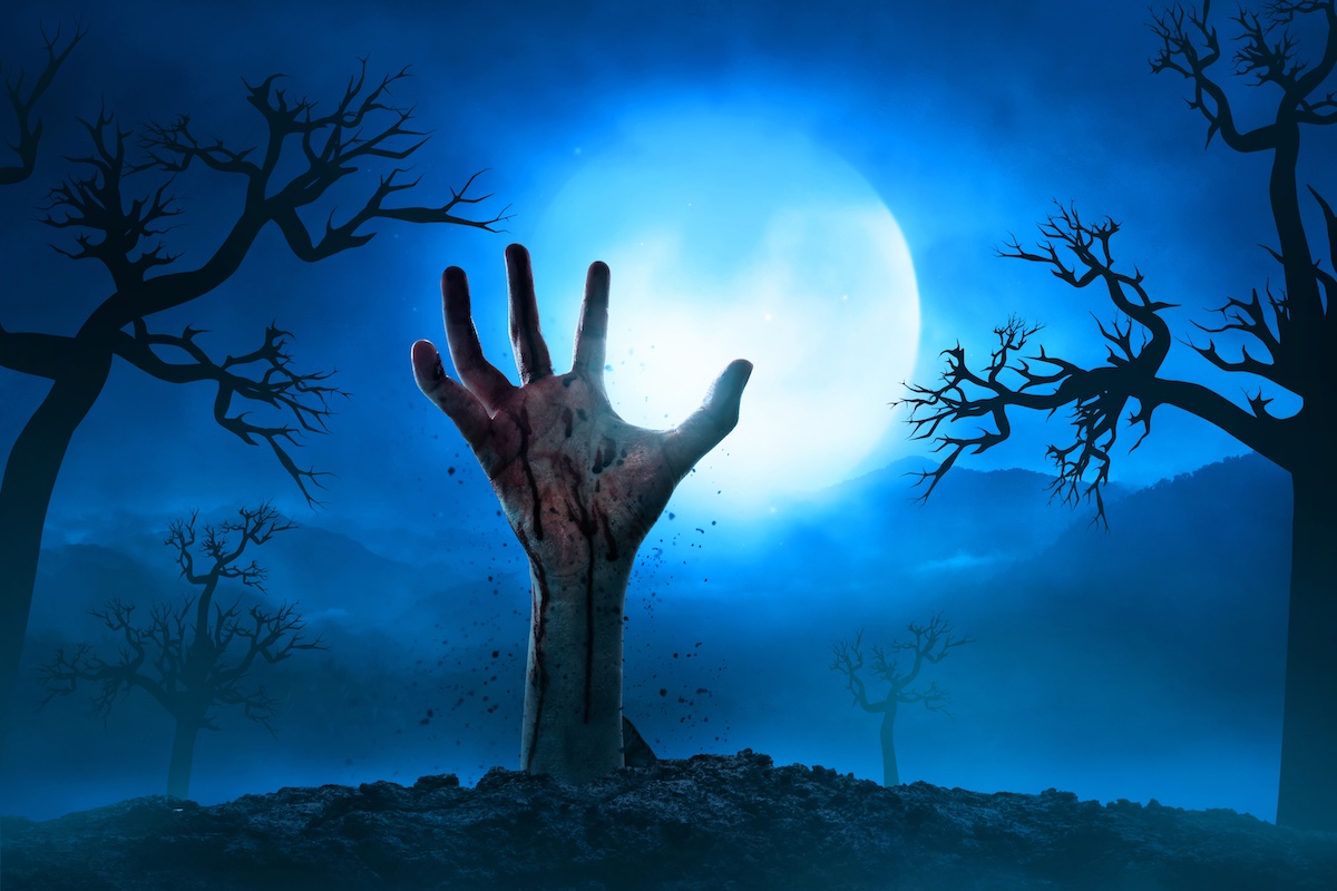 Фото: Shutterstock