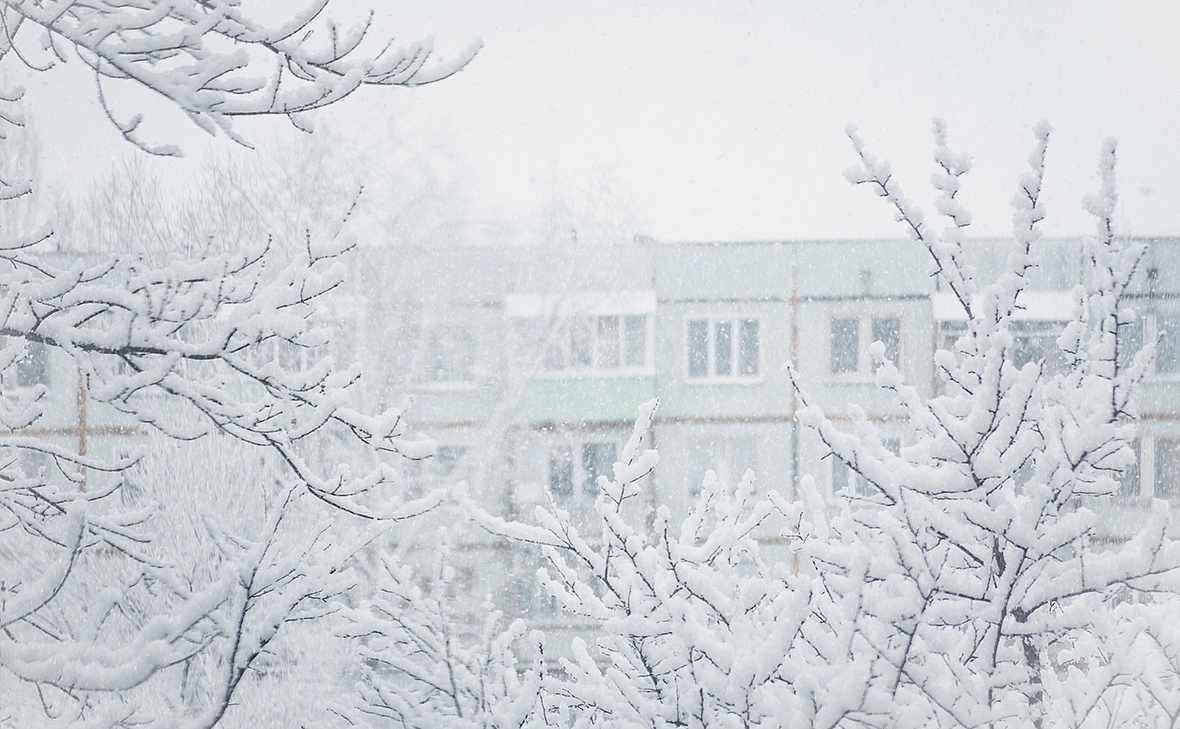 Валентина Перфильева / Shutterstock