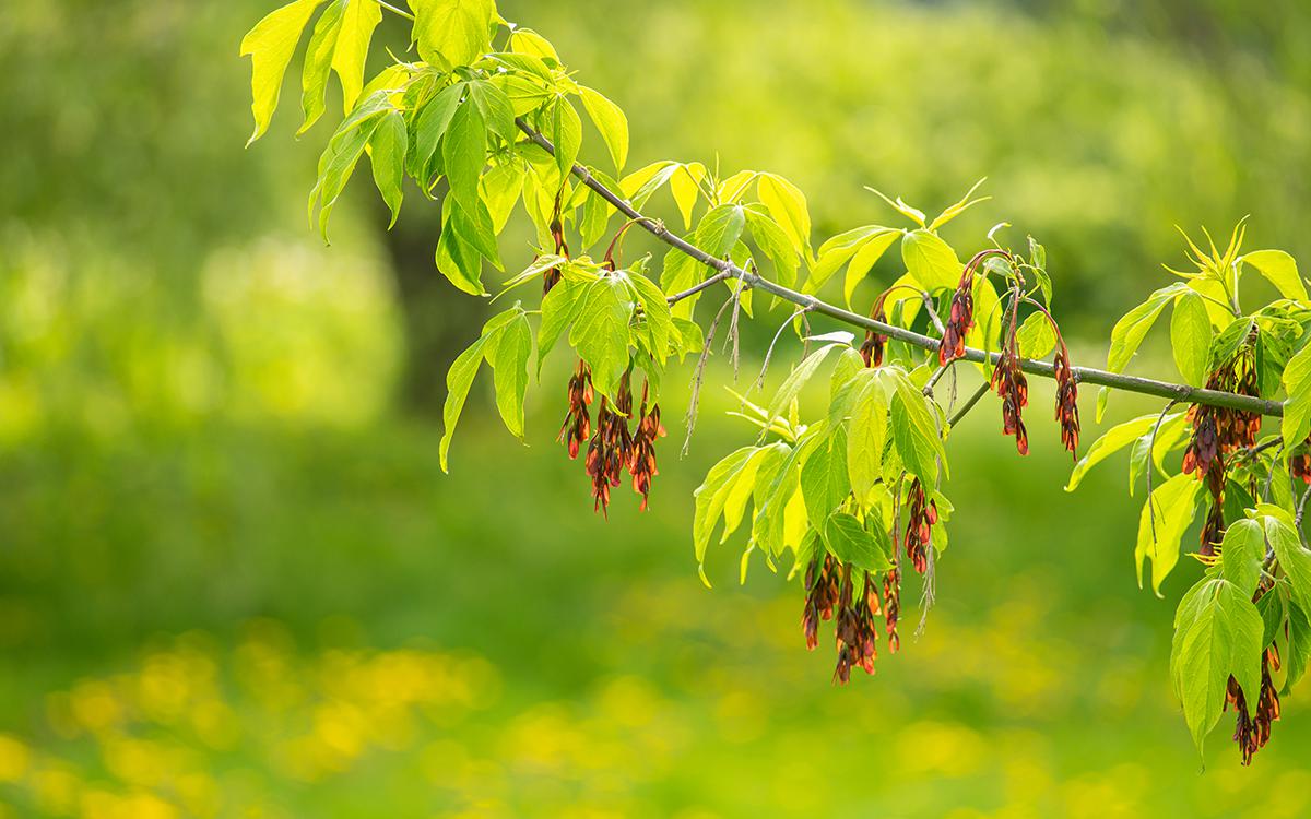 Фото: Shutterstock