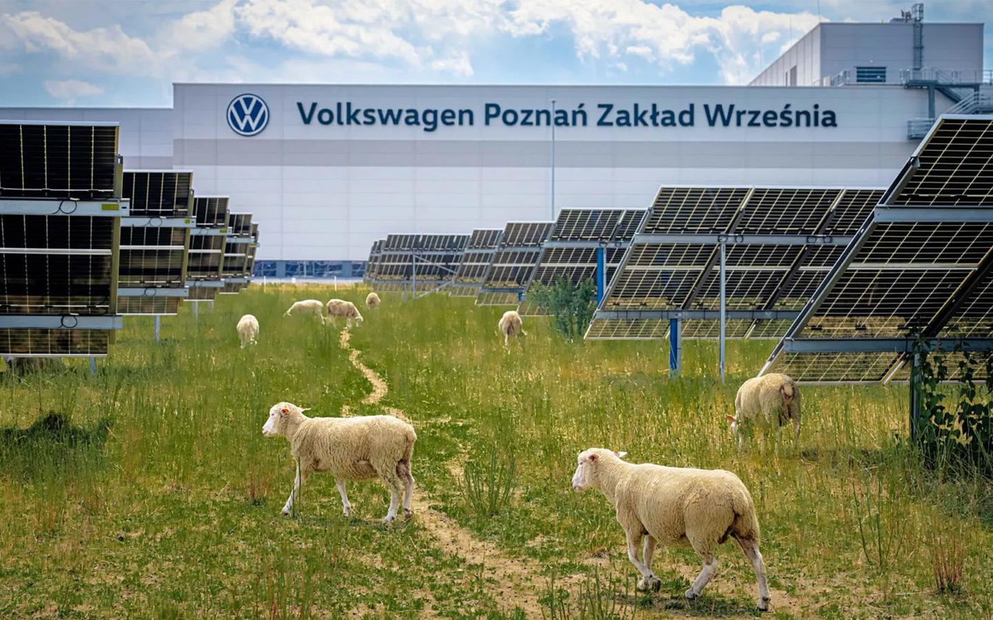 Фото: Volkswagen