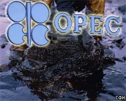 ОПЕК: Мировой спрос на нефть возрастет в 2005г. на 2%