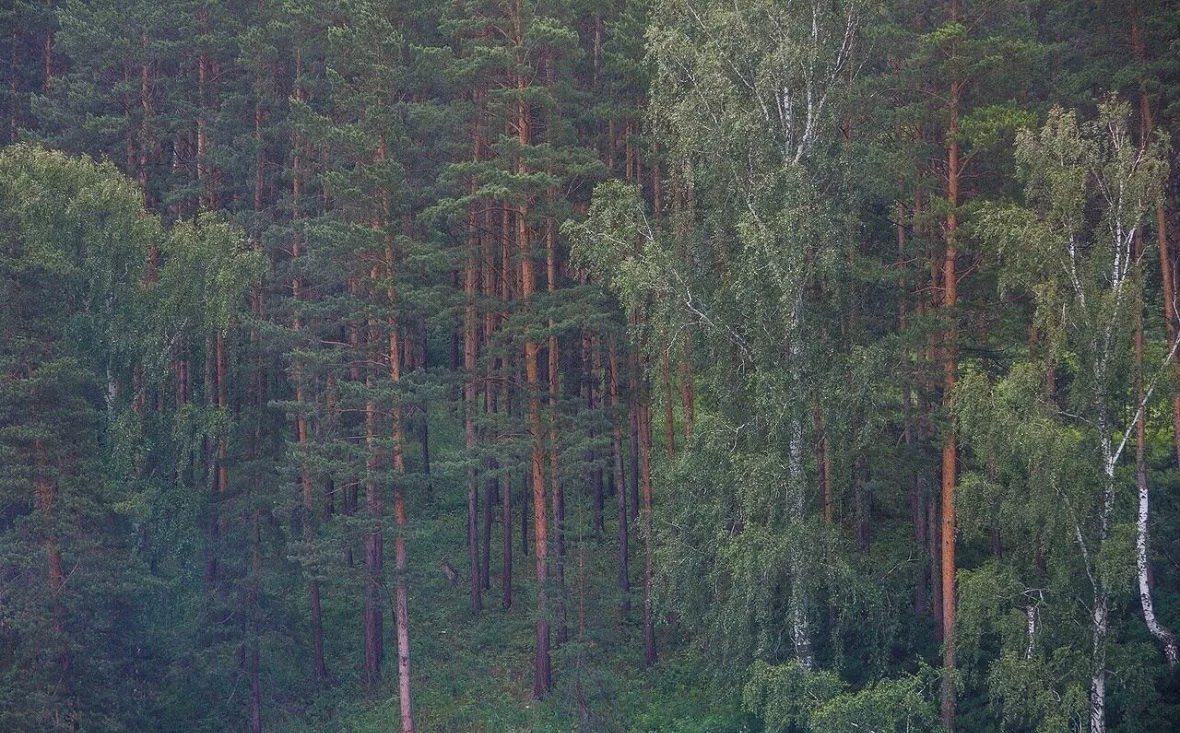 РБК Уфа