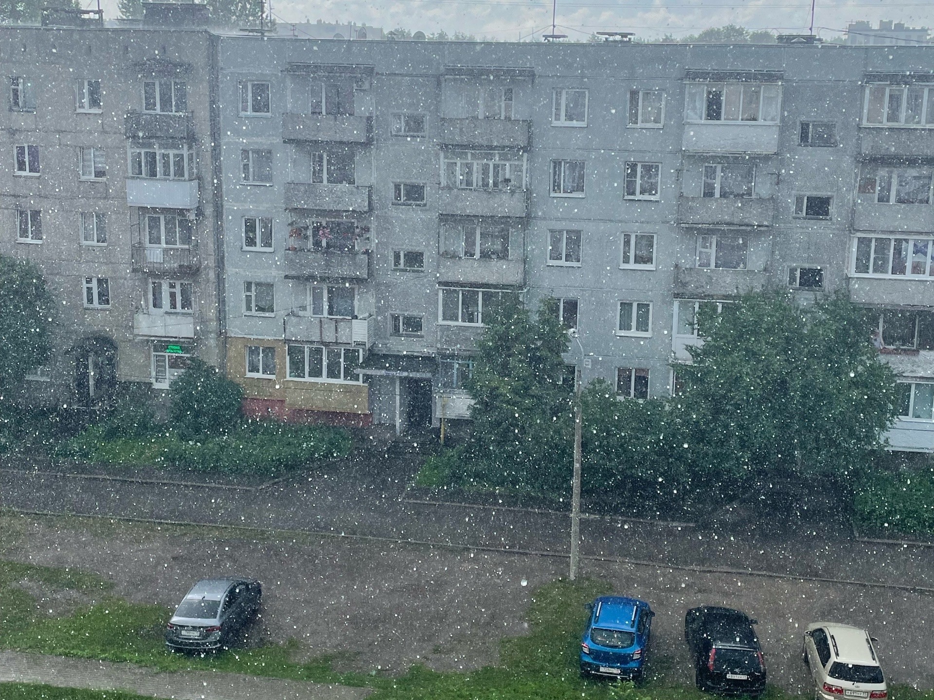 Фото: Юлия Лубнина, "Вконтакте" "Погода и метеоявления в Калининградской области"