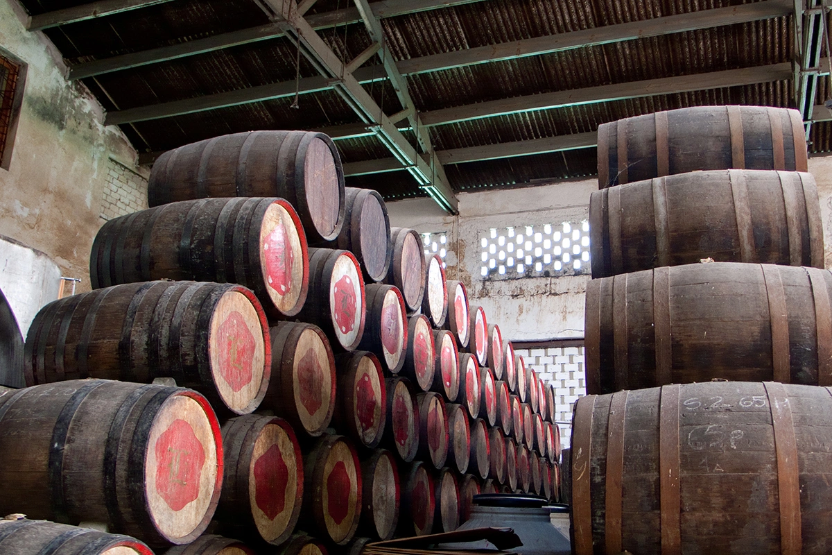 Навоз и огромное количество кислот, которое в нем образуется, добавляются к процессу брожения в самом конце, практически к браге, вместе с несколькими другими интересными ингредиентами, которые вы, возможно, не ожидаете увидеть при изготовлении рома