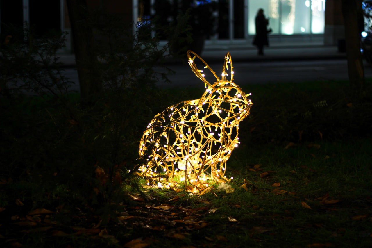 Фото: РБК Краснодар