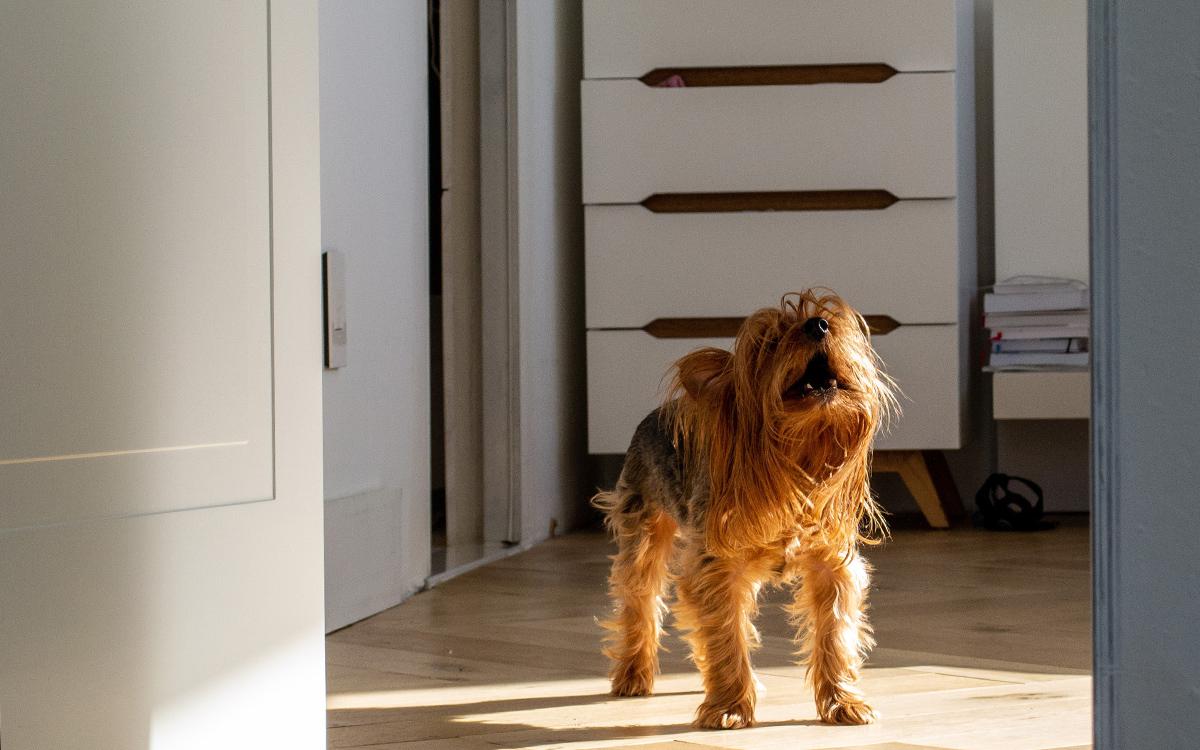 Фото: Szike / Shutterstock / FOTODOM