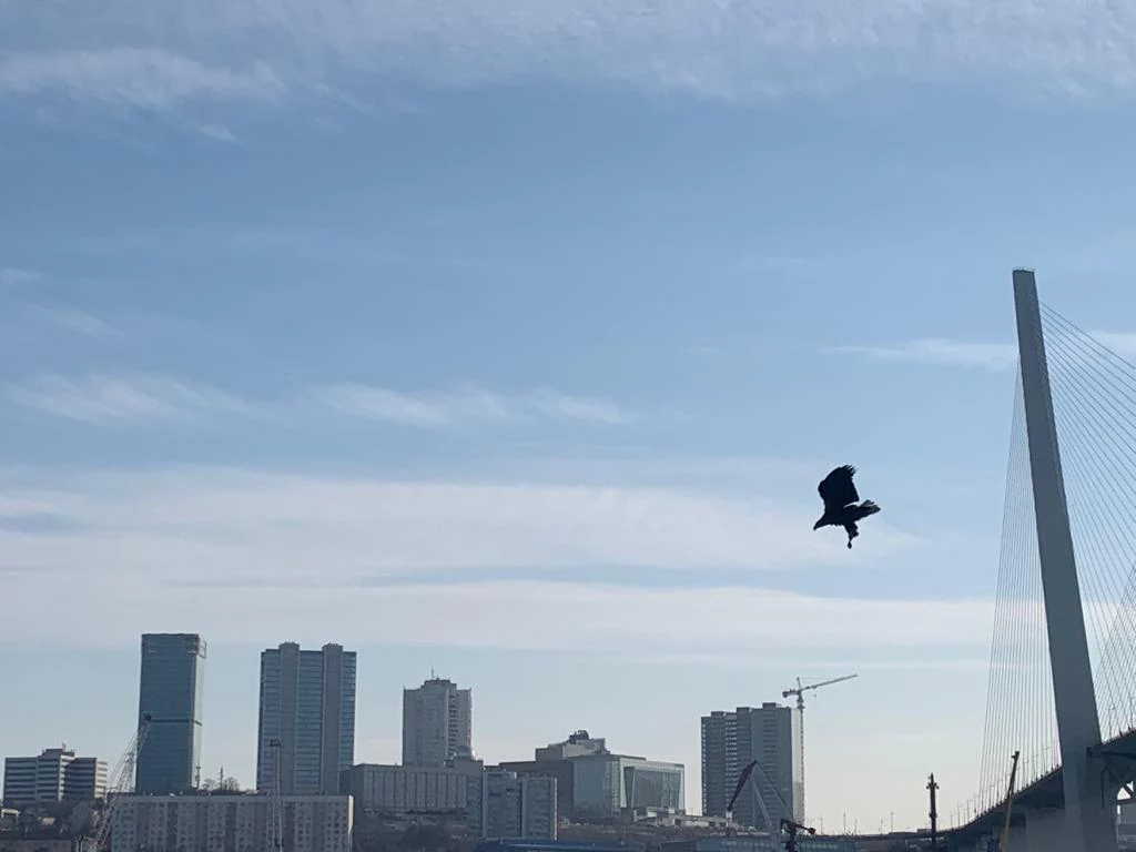 РБК Приморье