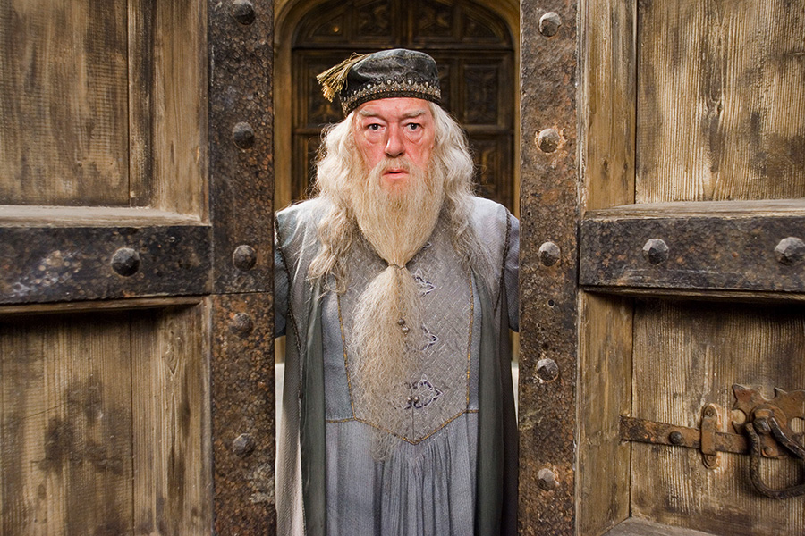 Гарри Поттер, 2007 г.